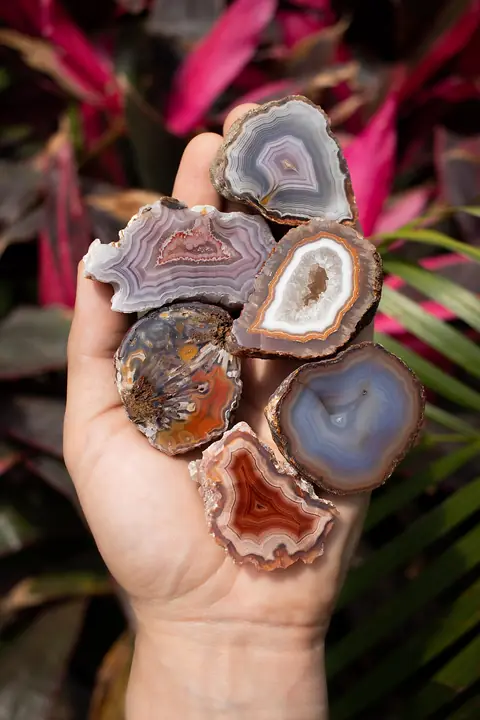 Coyamito Agate