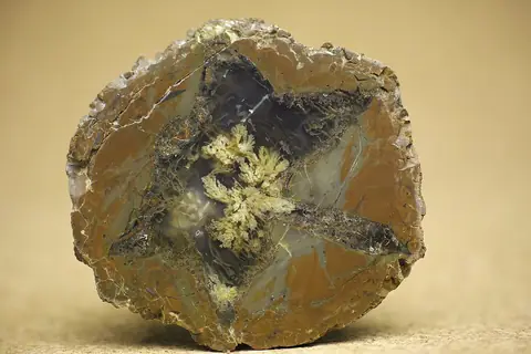 Nipomo Plume Agate